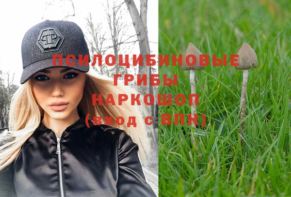 mdpv Алексин