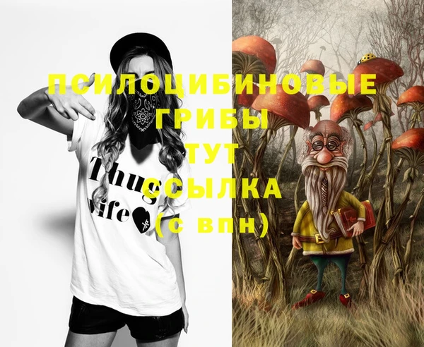 2c-b Алзамай