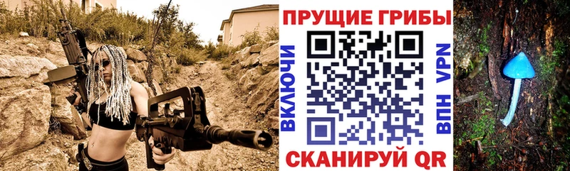 KRAKEN   Амурск  Галлюциногенные грибы Magic Shrooms 